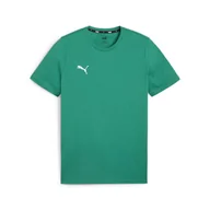 Koszulki sportowe męskie - Koszulka męska Puma Team Goal Casuals Tee - miniaturka - grafika 1