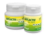 Vetfood Amylactiv Balance 30 Tabletki