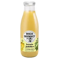 Soki i napoje niegazowane - Bracia Sadownicy Lemoniada letnie jabłko z cytryną i miętą 750 ml - miniaturka - grafika 1