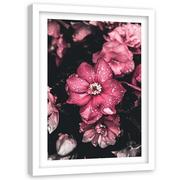 Plakaty - Obraz w ramie białej FEEBY, Kwiaty Różowe Przyroda 60x90 - miniaturka - grafika 1
