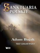 Literatura popularno naukowa dla młodzieży - Biały Kruk Sanktuaria polskie LIT-41635 - miniaturka - grafika 1