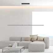 Lampy sufitowe - Paul Neuhaus PURE Pure-Lite wisząca LED 160cm antracyt - miniaturka - grafika 1