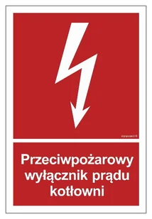 BB024 Przeciwpożarowy wyłącznik prądu kotłowni - 15 X 22,2 CM, PS - PŁYTA 1MM FOTO. LIBRES POLSKA SP SGP-BB024_150X222_PS 5904937052963 - Akcesoria BHP - miniaturka - grafika 1