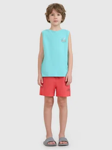 4F Spodenki plażowe boardshorty chłopięce - czerwone 122/128 (6-8 lat) - Kąpielówki dla chłopców 4F Spodenki plażowe boardshorty chłopięce - czerwone 122/128 (6-8 lat) - Kąpielówki dla chłopców - miniaturka - grafika 1