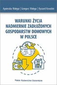 Książki medyczne - Wałęga Agnieszka, Wałęga Grzegorz, Kowalski Ryszar Warunki życia nadmiernie zadłużonych gospodarstw domowych w Polsce - miniaturka - grafika 1