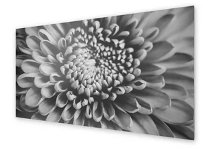 Panel kuchenny HOMEPRINT Kwiat biało czarny makro 140x70 cm - Dekoracje domu Panel kuchenny HOMEPRINT Kwiat biało czarny makro 140x70 cm - Dekoracje domu - miniaturka - grafika 1