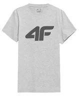 Koszulki męskie - T-shirt męski 4F Koszulka z nadrukiem SZARA - miniaturka - grafika 1