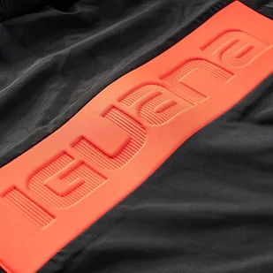 Kurtka męska Iguana Męska Kurtka ocieplana AMBLO - Kurtki męskie - miniaturka - grafika 1