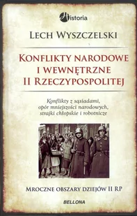 Konflikty narodowe i wewnętrzne w II Rzeczypospolitej - E-booki - historia - miniaturka - grafika 1
