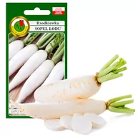 Nasiona i cebule - RZODKIEWKA SOPEL LODU PÓŹNA 10g NASIONA BEZ GMO - miniaturka - grafika 1