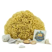 Inne akcesoria do pielęgnacji dzieci - Gąbka do kąpieli - naturalna morska - rozmiar 3XL 20-22 cm - miniaturka - grafika 1