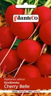 Nasiona i cebule - NASIONA Rzodkiewka Cherry Belle 10g PLANTICO 406193 - miniaturka - grafika 1