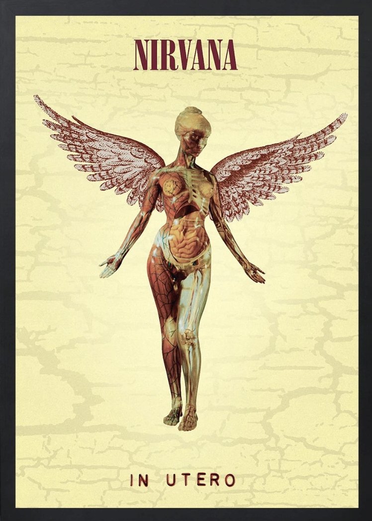 Naklejki na ścianę NIRVANA In Utero Sztuka Vintage Foto 91,5x61 cm #9