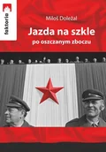 Poezja - Jazda na szkle po oszczanym zboczu - miniaturka - grafika 1