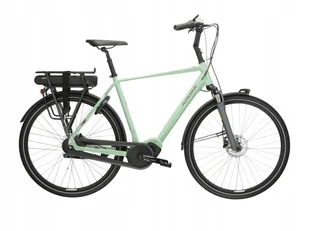 Rower elektryczny KROSS SENTIO HYBRID 4.0 rozmiar XL Zielony - Rowery elektryczne - miniaturka - grafika 1