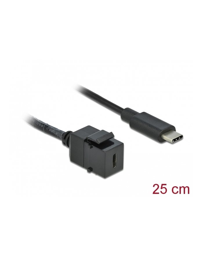 D-ELOCK Keystone Module USB 3.0 C female > USB 3.0 C male with cable