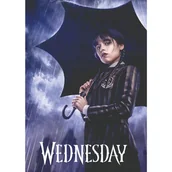 Teczki i skoroszyty - Teczka z gumką A4 WEDNESDAY 108024011 ASTRA - miniaturka - grafika 1