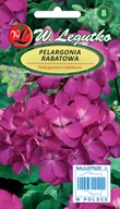 Nasiona i cebule - Nasiona Pelargonia rabatowa Gama F1 fioletowa 0.03g - W.Legutko - miniaturka - grafika 1