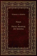 E-booki - religia - Pasja. Przez Maryję do Jezusa - miniaturka - grafika 1