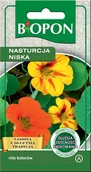 Nasiona i cebule - Nasiona Biopon - Nasturcja Niska Mix Kolorów 5G - miniaturka - grafika 1
