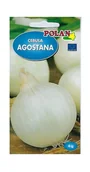 Nasiona i cebule - Cebula Agostana 4 g POLAN - miniaturka - grafika 1