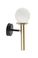 Lampy ścienne - Czarno-złoty kinkiet z małym kloszem SIG 40773 z serii DAISY - miniaturka - grafika 1