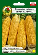 Nasiona i cebule - Kukurydza Cukrowa Złota Karłowa gr.II 10g - miniaturka - grafika 1