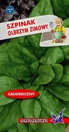 Nasiona i cebule - Szpinak Olbrzym Zimowy 10g / O / - miniaturka - grafika 1