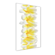 Foto gadżety - Foto-obraz szkło hartowane pionowy Plumeria - miniaturka - grafika 1