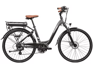 Rower elektryczny R.EVOLUTION Urban 600 - Rowery elektryczne - miniaturka - grafika 1