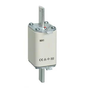 ETI Wkładka-mocy-WT-1-25A-gG-zwłoczna 4113239 - Bezpieczniki elektryczne - miniaturka - grafika 1