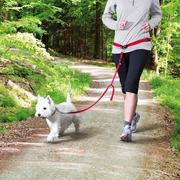 Smycze dla psów - Trixie Zestaw do joggingu- pas biodrowy ze smyczą rozm. S-M nr kat.12765 - miniaturka - grafika 1