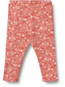 Spodenki dla niemowląt - Wheat Legginsy "Jules" w kolorze pomarańczowym - miniaturka - grafika 1