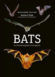 Marianne Taylor Bats - Obcojęzyczne książki naukowe - miniaturka - grafika 1