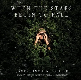 When the Stars Begin to Fall - Audiobooki obcojęzyczne - miniaturka - grafika 1