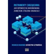 Instrumenty zarządzania jako odpowiedź na Nowa - Webmasterstwo - miniaturka - grafika 1