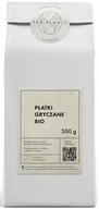 Płatki śniadaniowe i musli - PŁATKI GRYCZANE BIO 300 g - THE PLANET - miniaturka - grafika 1