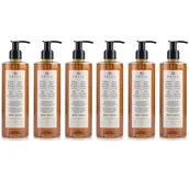 Mydła - PRIJA MYDŁO W PŁYNIE do rąk Z POMPKĄ ekstrakt z żeń-szenia 6x380 ml - miniaturka - grafika 1