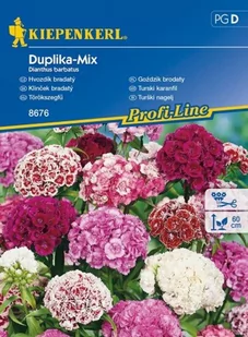 Kiepenkerl Goździk brodaty Duplika-Mix Dianthus barbatus 102314 - Nasiona i cebule - miniaturka - grafika 1