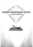 Poezja - Kamień przewiązany trawą - miniaturka - grafika 1