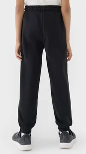 4F OCIEPLANE DZIEWCZÄCE SPODNIE DRESOWE BAWEĹNA / rozm 128 - Dresy męskie 4F OCIEPLANE DZIEWCZÄCE SPODNIE DRESOWE BAWEĹNA / rozm 128 - Dresy męskie - miniaturka - grafika 1