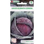 Nasiona i cebule - Kapusta głowiasta czerwona Haco W.Legutko - miniaturka - grafika 1