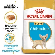 Sucha karma dla psów - Royal Canin Chihuahua Junior 1,5 kg - miniaturka - grafika 1