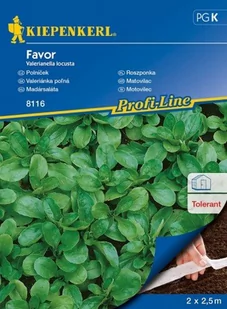 Kiepenkerl Roszponka Favor Valerianella locusta 102362 - Nasiona i cebule - miniaturka - grafika 1
