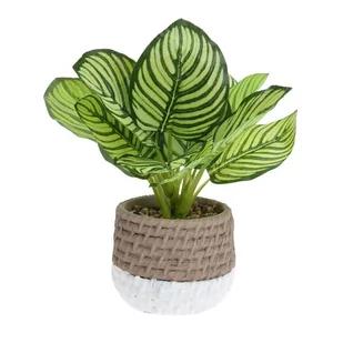 Roślina sztuczna w cementowej donicy - Sztuczne kwiaty - miniaturka - grafika 1