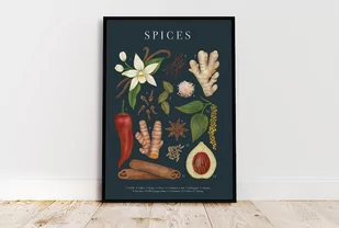 Plakat botaniczny Spices 30x40 - Plakaty - miniaturka - grafika 1