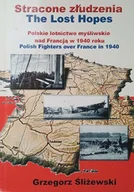 Historia świata - Stracone złudzenia - miniaturka - grafika 1