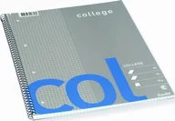 Zeszyty szkolne - Bantex Bantex Col, Image, Blue, Grey, A4+, 70 sheets, Semi-glossy, Squared paper - miniaturka - grafika 1
