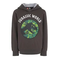 Bluzy dla chłopców - LEGO Chłopięca bluza z kapturem Jurassic World, 960, 92 - miniaturka - grafika 1