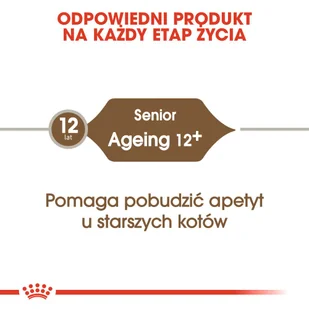 ROYAL CANIN  Ageing +12 2kg + niespodzianka dla kota GRATIS! - Sucha karma dla kotów - miniaturka - grafika 6